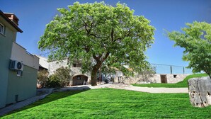 A courtyard with a large tree, stone walls, and a grassy lawn. - BERTETIC One-Bedroom Apartment 3 (Pilkovici)