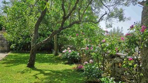 A garden with a stone wall, flowering plants, and a grassy lawn. - GINA Two-Bedroom Apartment (Bale)
