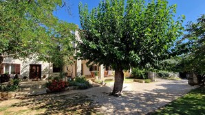 A courtyard with a large tree, a stone pathway, and a building with a white facade and brown shutters. - GINA Two-Bedroom Apartment (Bale)