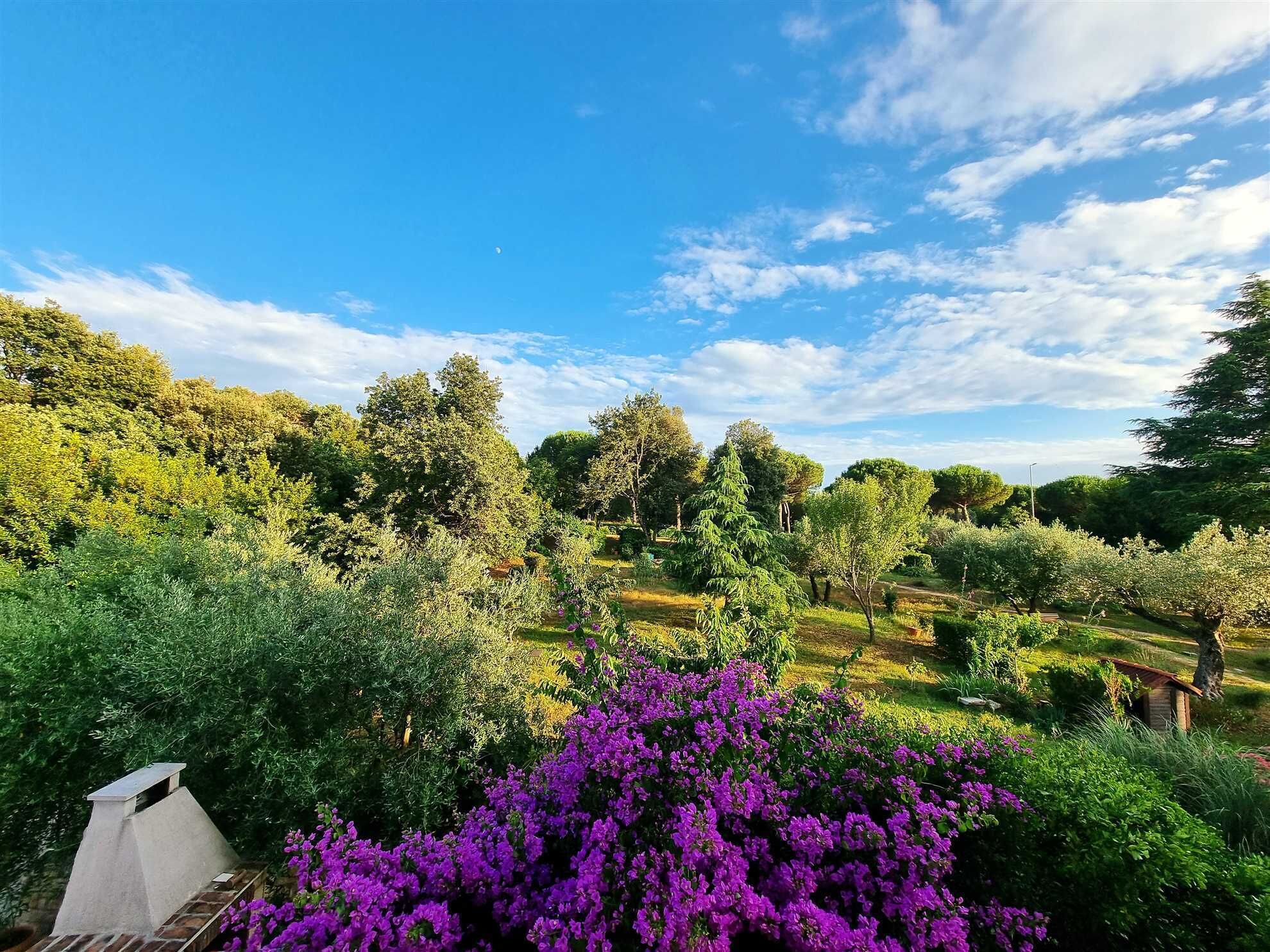 A garden with various trees and shrubs, a small building, and a clear sky.
