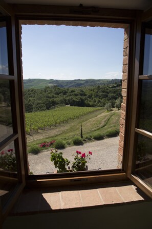 Vue depuis l’hébergement