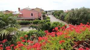 Una zona residencial con una casa rosa, plantas verdes y una calle.