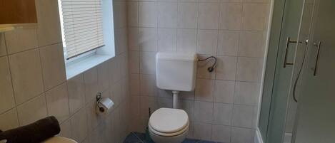 Une petite salle de bain avec des toilettes, un lavabo et une douche.