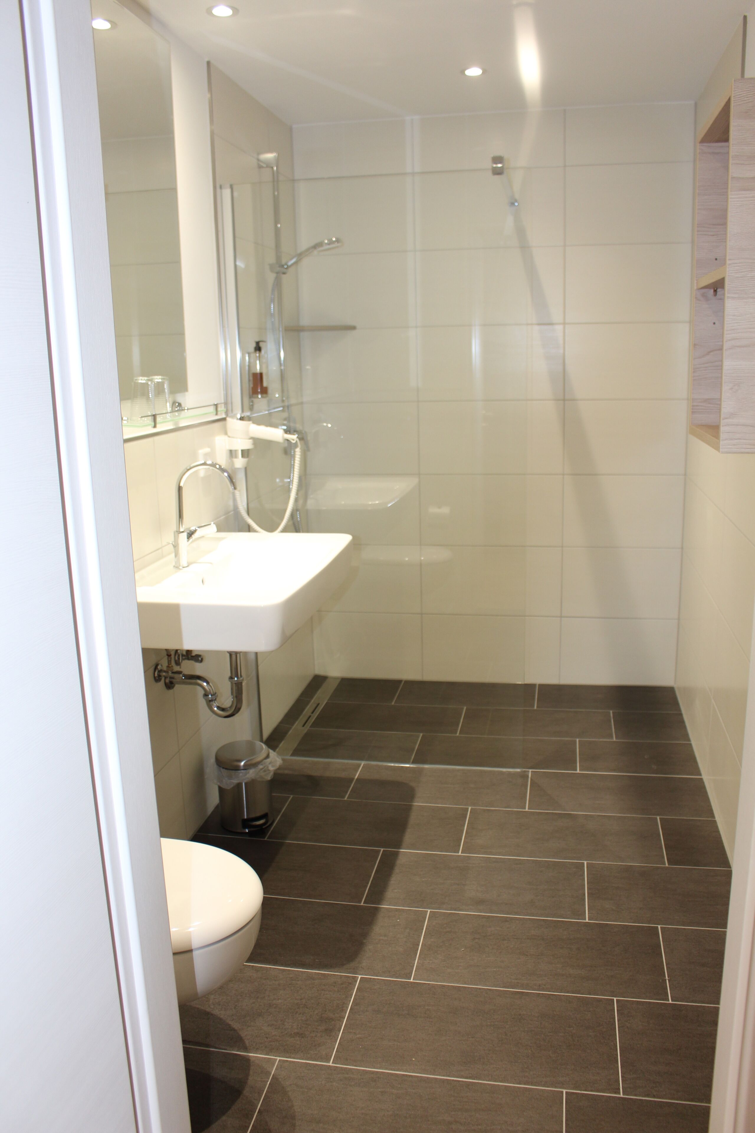 shower, free toiletries, hair dryer