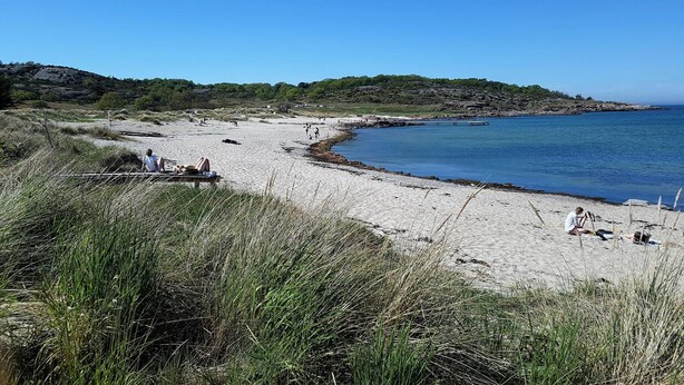 Ein Strand mit Menschen, die sich sonnen und am Ufer entlanggehen, umgeben von grasbewachsenen Dünen und einem klaren, blauen Himmel.