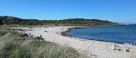 Una spiaggia nelle vicinanze