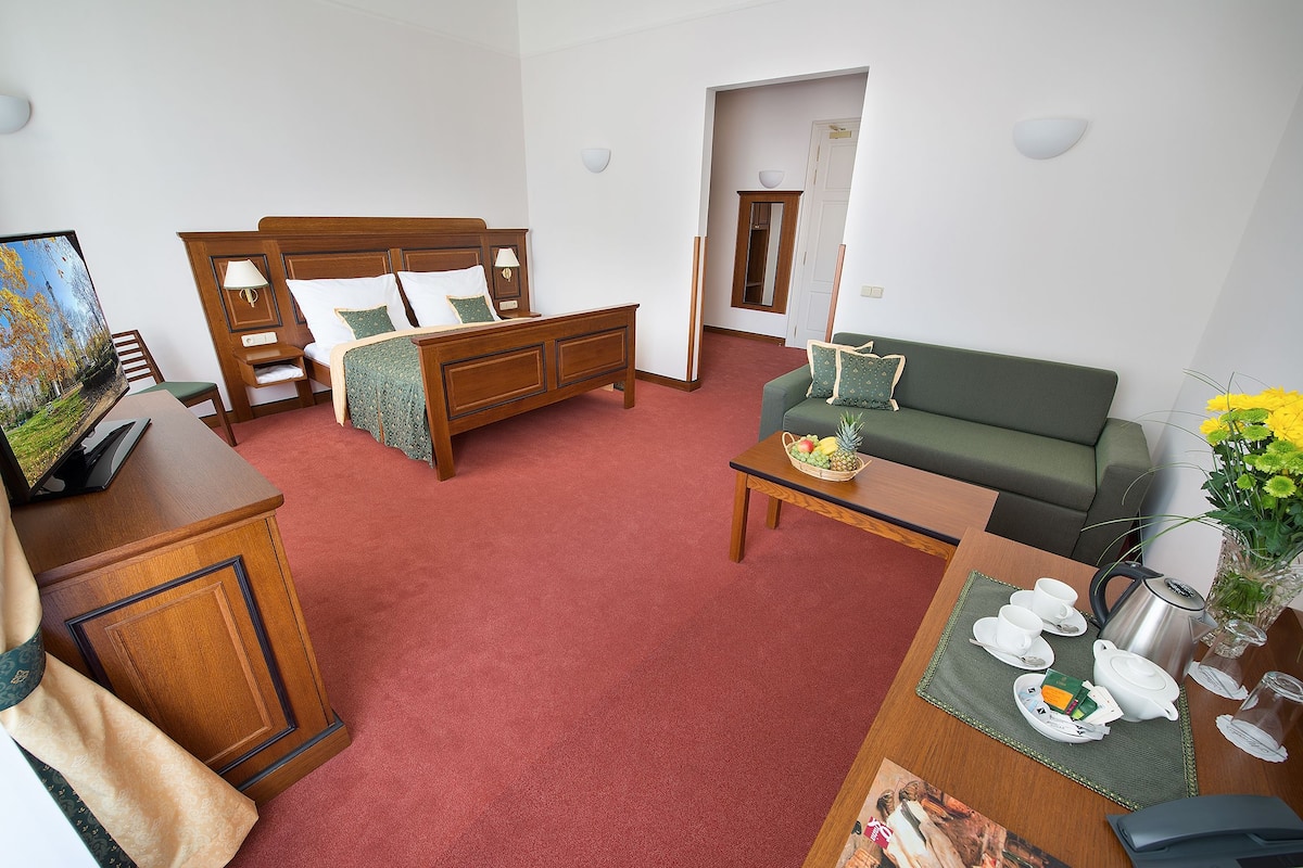 Hypo-allergenic bedding, in-room safe, iron/ironing board, free WiFi
