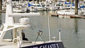 A marina with multiple boats docked, a prominent sign reading 'MARIE-GALANTE I', and a clear view of the water.