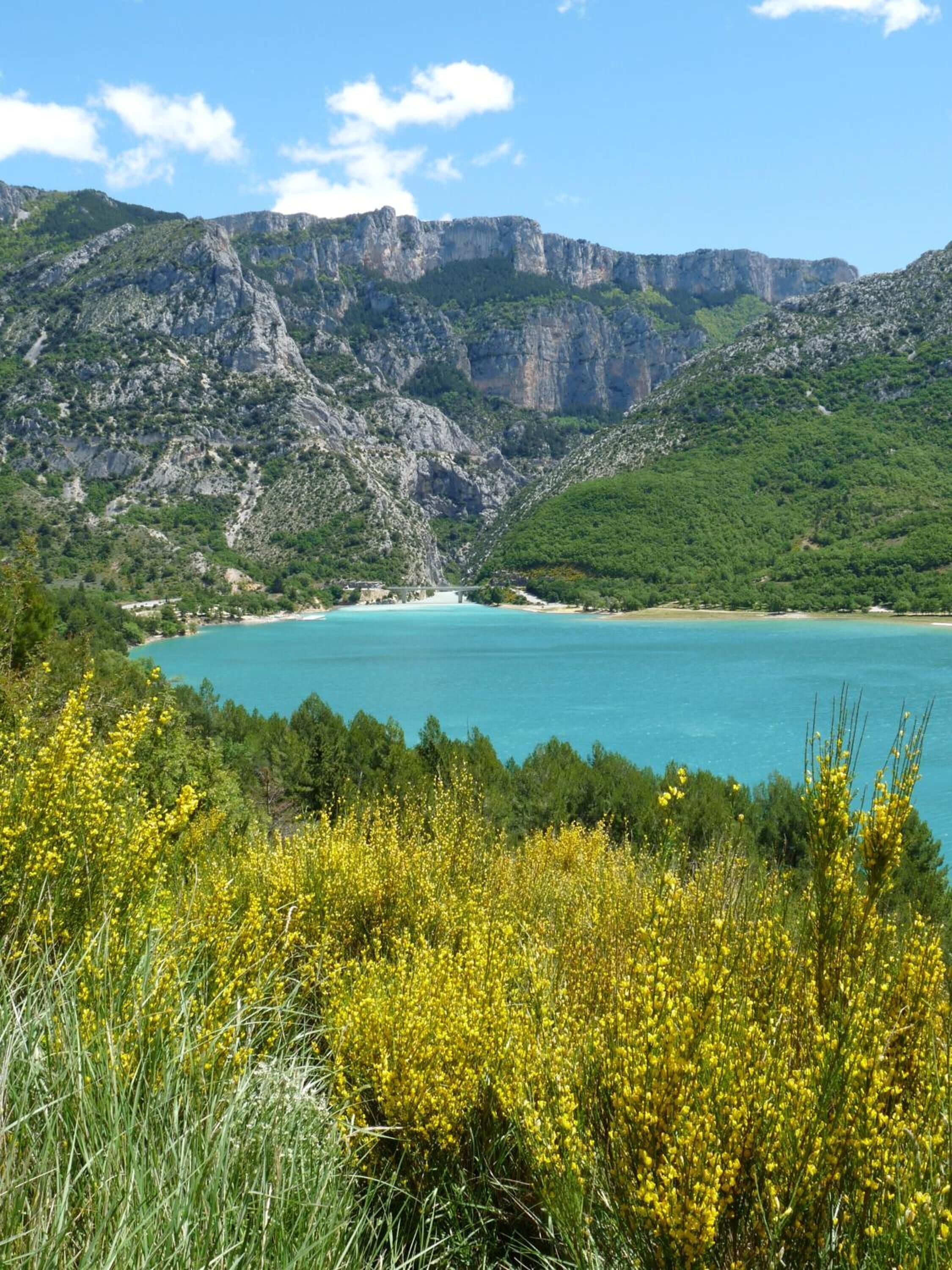 A coastal landscape with mountains, a clear blue sea, and yellow wildflowers in the foreground.