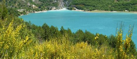 A coastal landscape with mountains, a clear blue sea, and yellow wildflowers in the foreground.