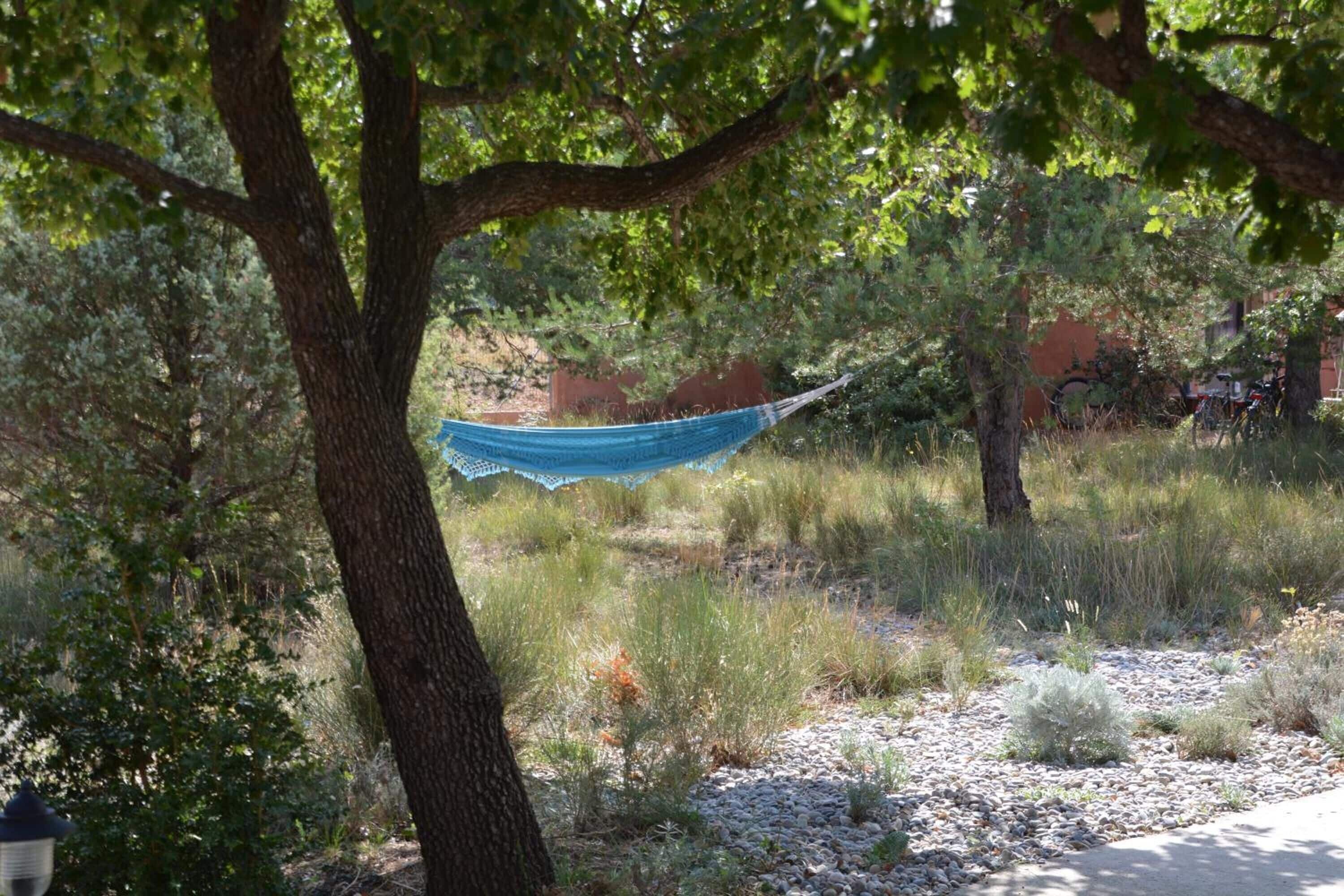 A hammock tied between trees in a natural setting with a gravel path and sparse vegetation.