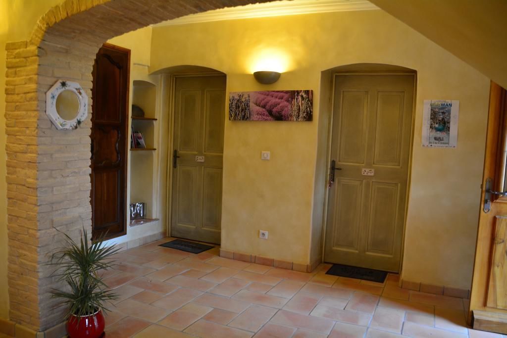 A hallway with two doors, a potted plant, and a wall-mounted light fixture.