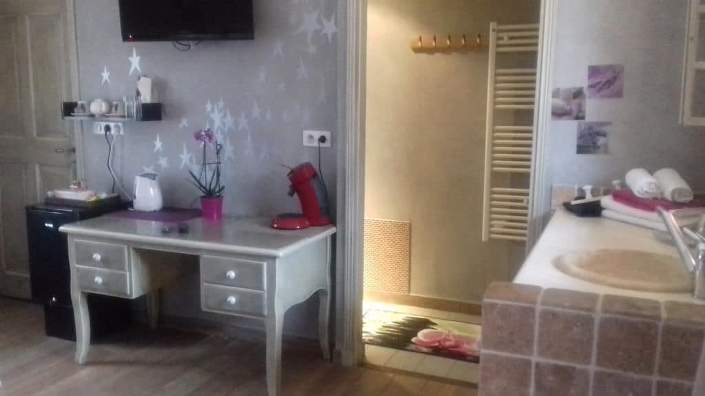 Ein Zimmer mit Schreibtisch, rotem Wasserkocher, Topfpflanze, Handtuchhalter und Duschbereich.