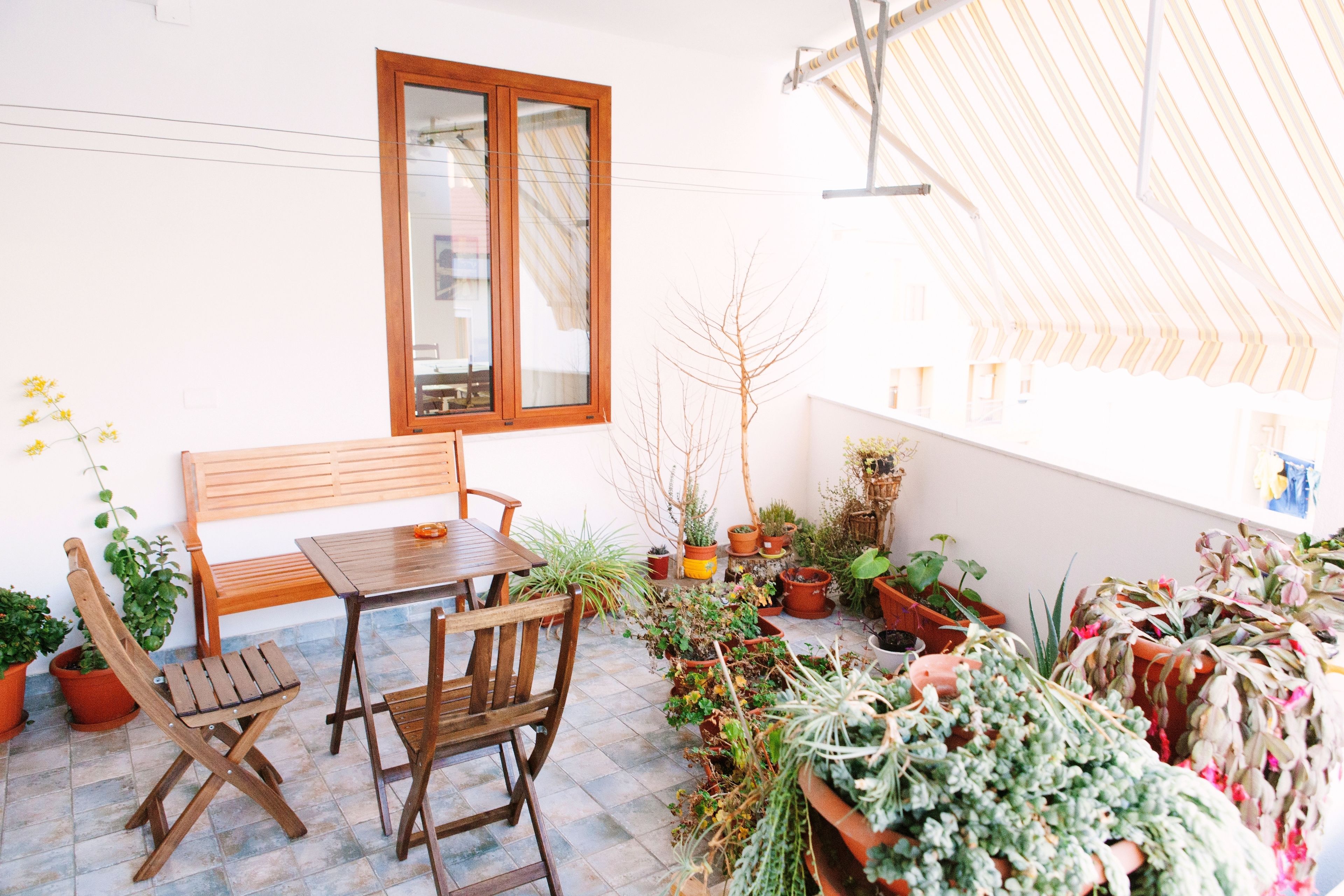 Foto - Babbai Giommi