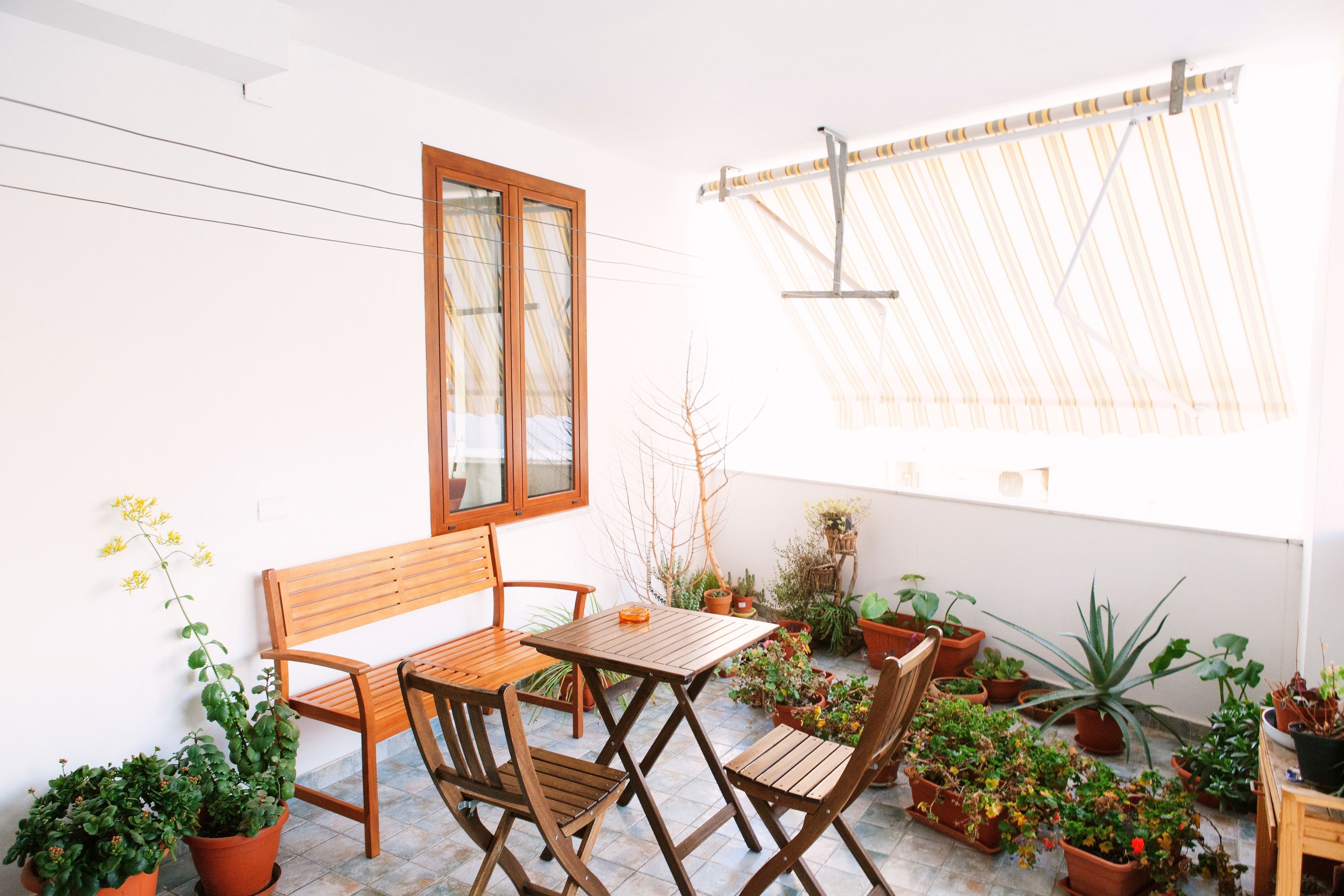 Foto - Babbai Giommi