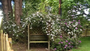 A wooden bench under a lattice structure surrounded by flowering bushes. - Bannatyne Lodge (Blairgowrie)
