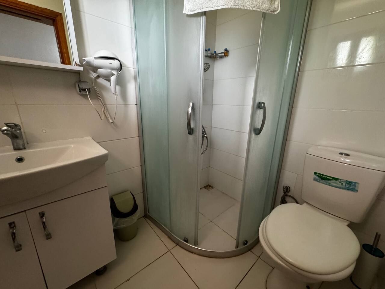 A bathroom with a glass-enclosed shower, a toilet, and a sink with a mirror above it.