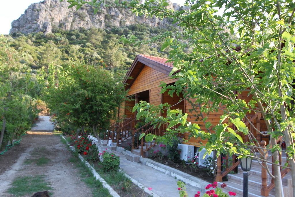 Vista dalla struttura