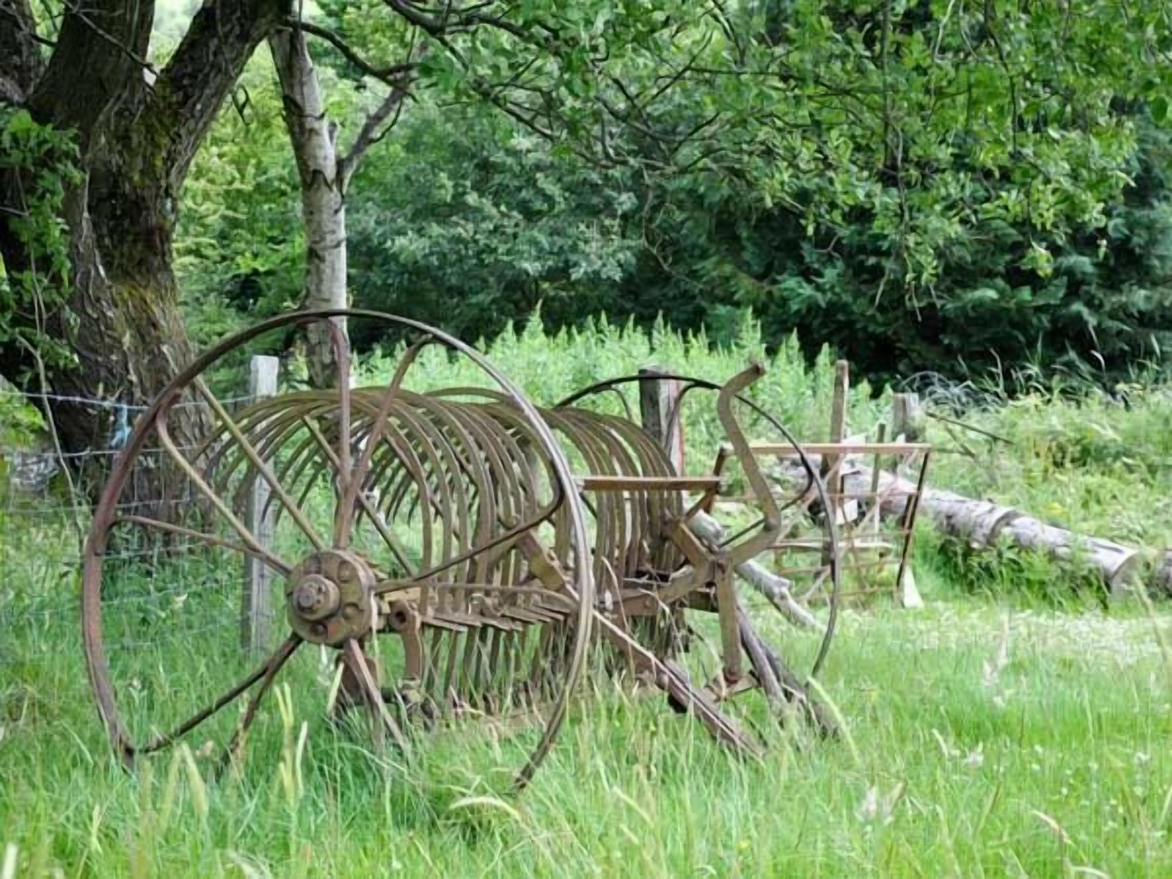 A rustic outdoor setting with a large, old-fashioned mechanical device, possibly a water pump, surrounded by lush greenery and trees.
