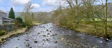 A river with rocks and trees on both sides.