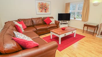 Mökki | Olohuone | Televisio