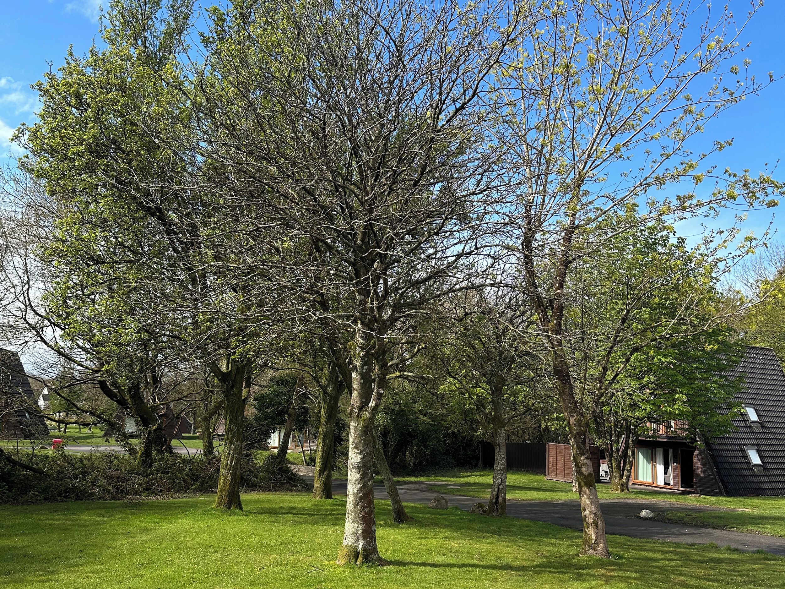 Cottage | Property grounds