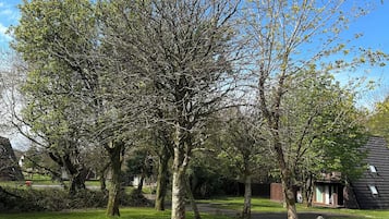 Cottage | Property grounds