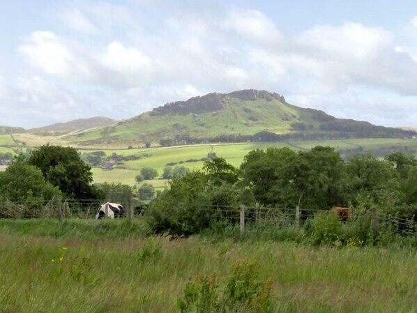 A rural landscape with a hill, trees, and a fence. - The Rindle (Leek)