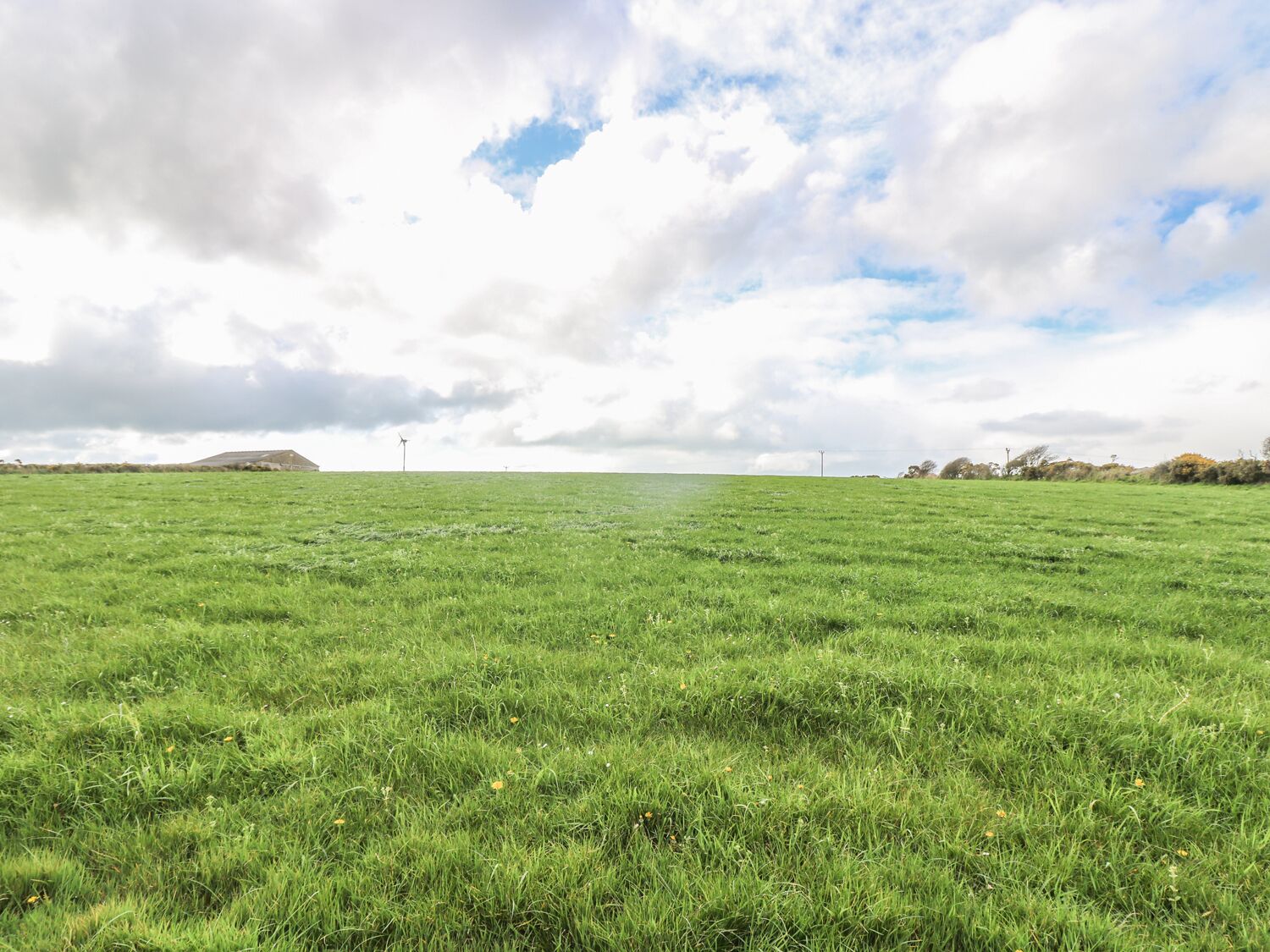 A vast green field with a distant wind turbine and a flat horizon under a partly cloudy sky.