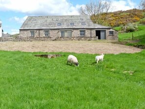 A stone building with a sloped roof and multiple windows. - Ghyll Bank Byre (Kendal)