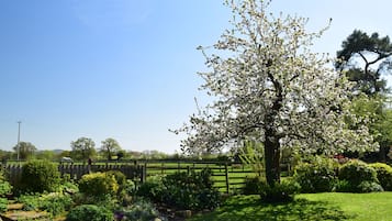 Feriehus | Interiør