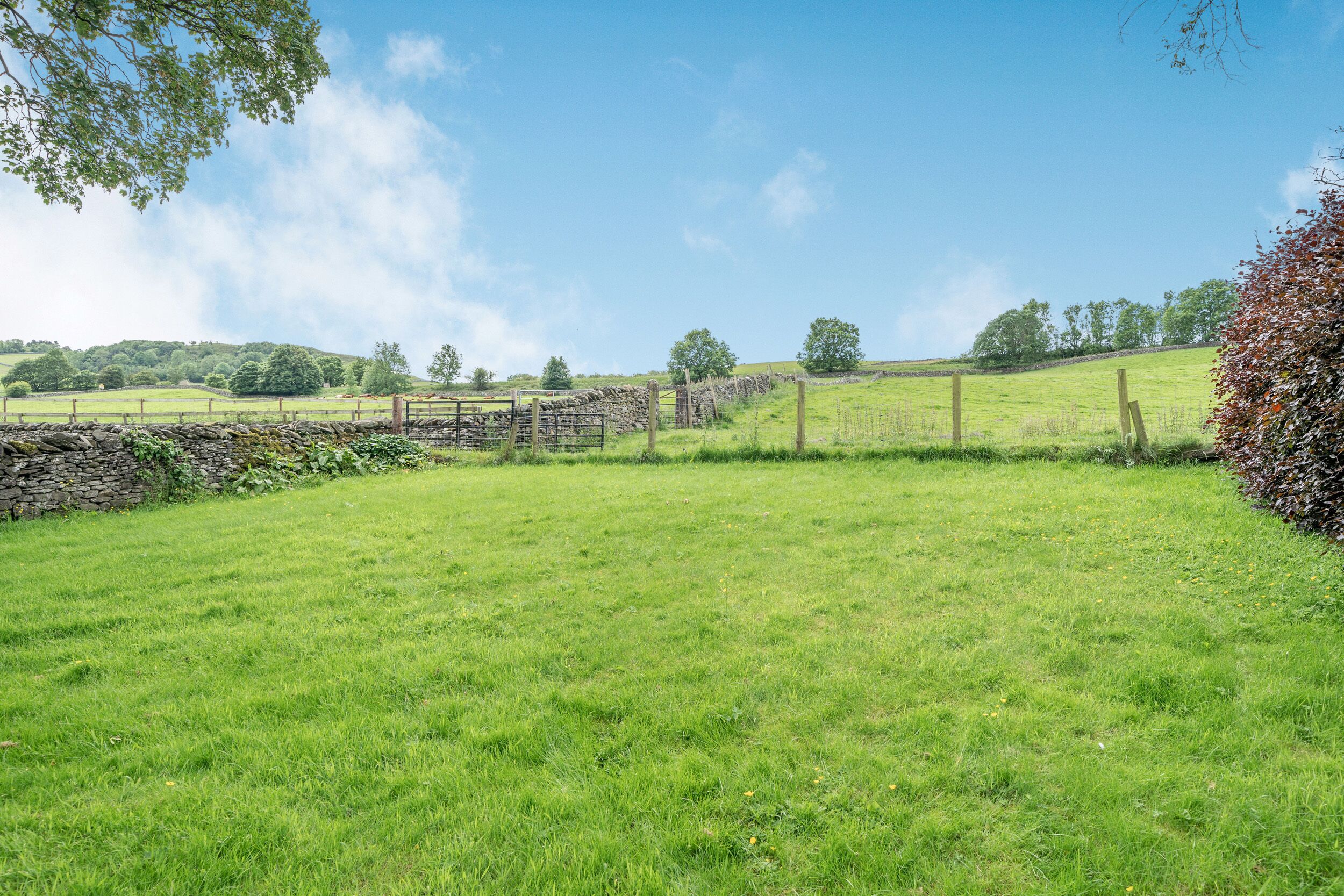 A grassy field with a stone wall and wooden fence.