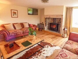 Televisión, reproductor de DVD