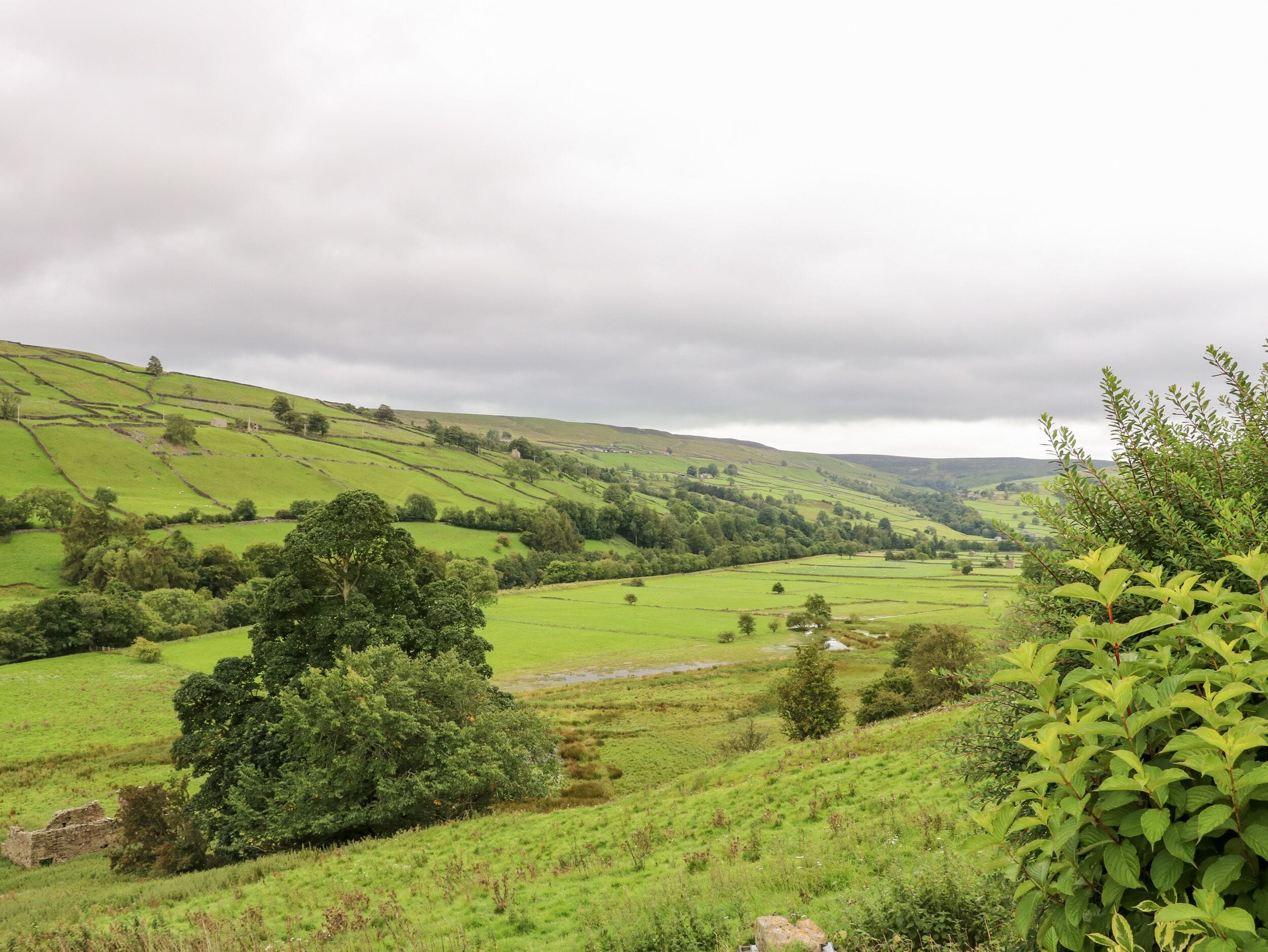 A rural landscape with rolling hills, fields, and scattered trees.