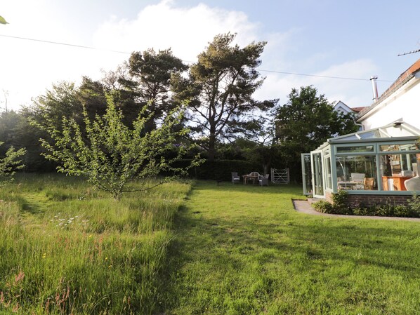 A conservatory with a glass roof, surrounded by a grassy garden and a tree. - Wood Glen Cottage (Heathfield)