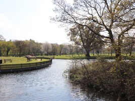 Un parque con un estanque, bancos y un árbol grande.