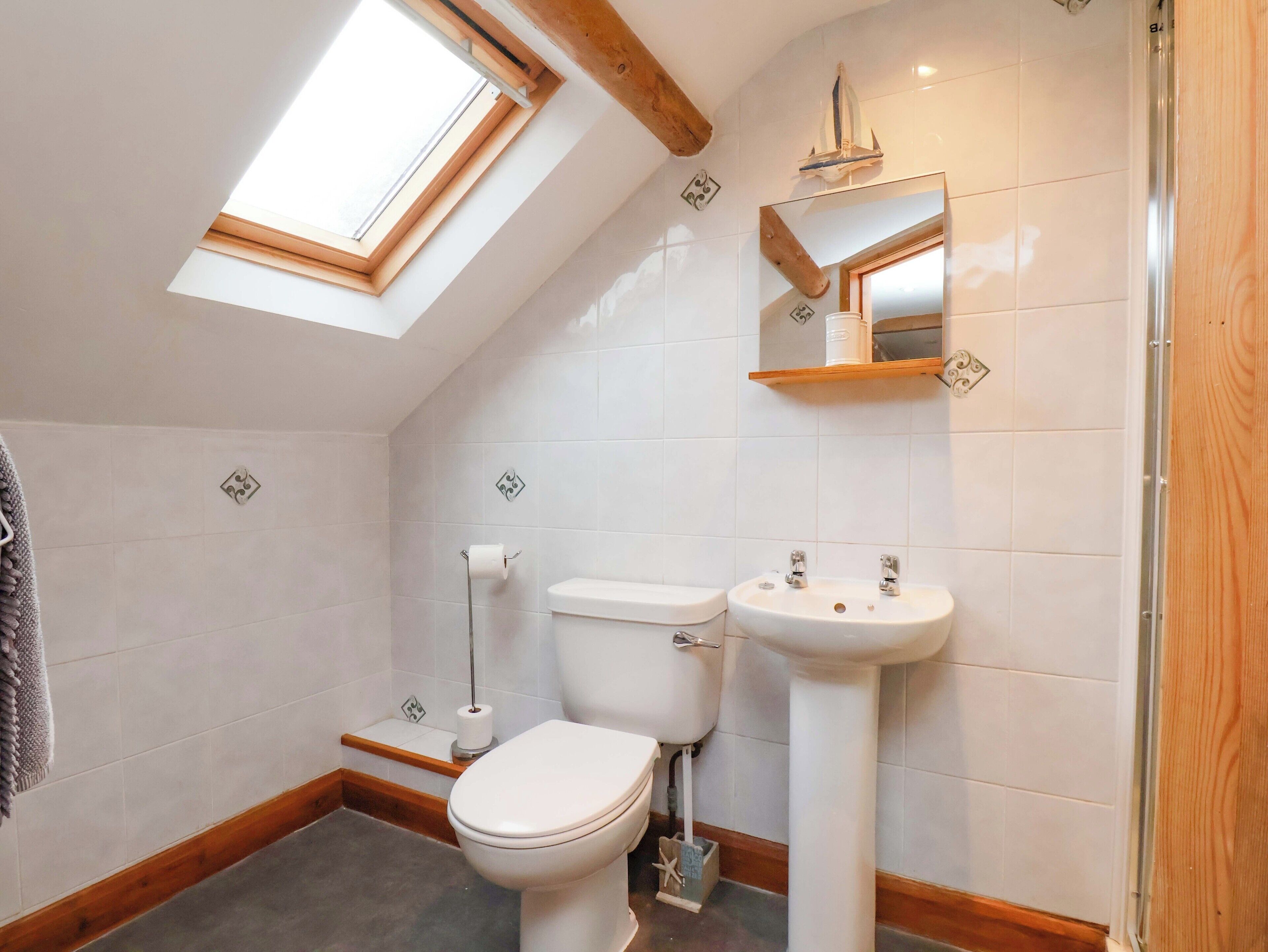 Une salle de bain avec un puits de lumière, des toilettes, un lavabo et un miroir.