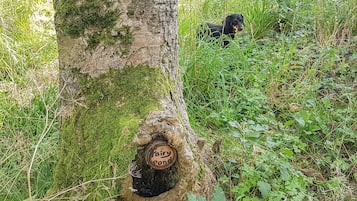 Cottage | Property grounds