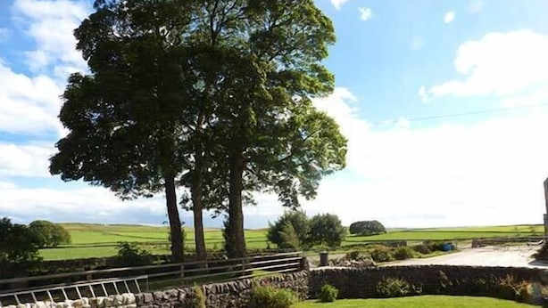 A rural landscape with a stone wall, a grassy field, and a large tree. - Corner Croft (Buxton)