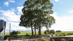 A rural landscape with a large tree, stone wall, and a metal structure. - Corner Croft (Buxton)