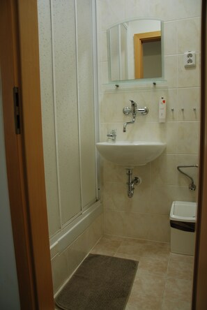 Shower, free toiletries, hair dryer, towels - Hotel Churáňov (Stachy)