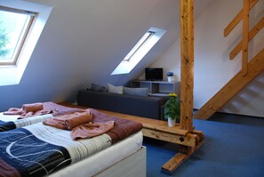 Appartement Duplex