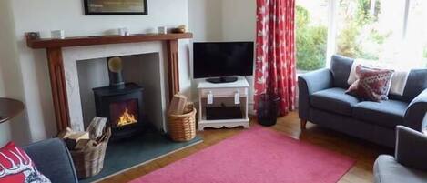 A cozy living room with a fireplace, a television, and a sofa.