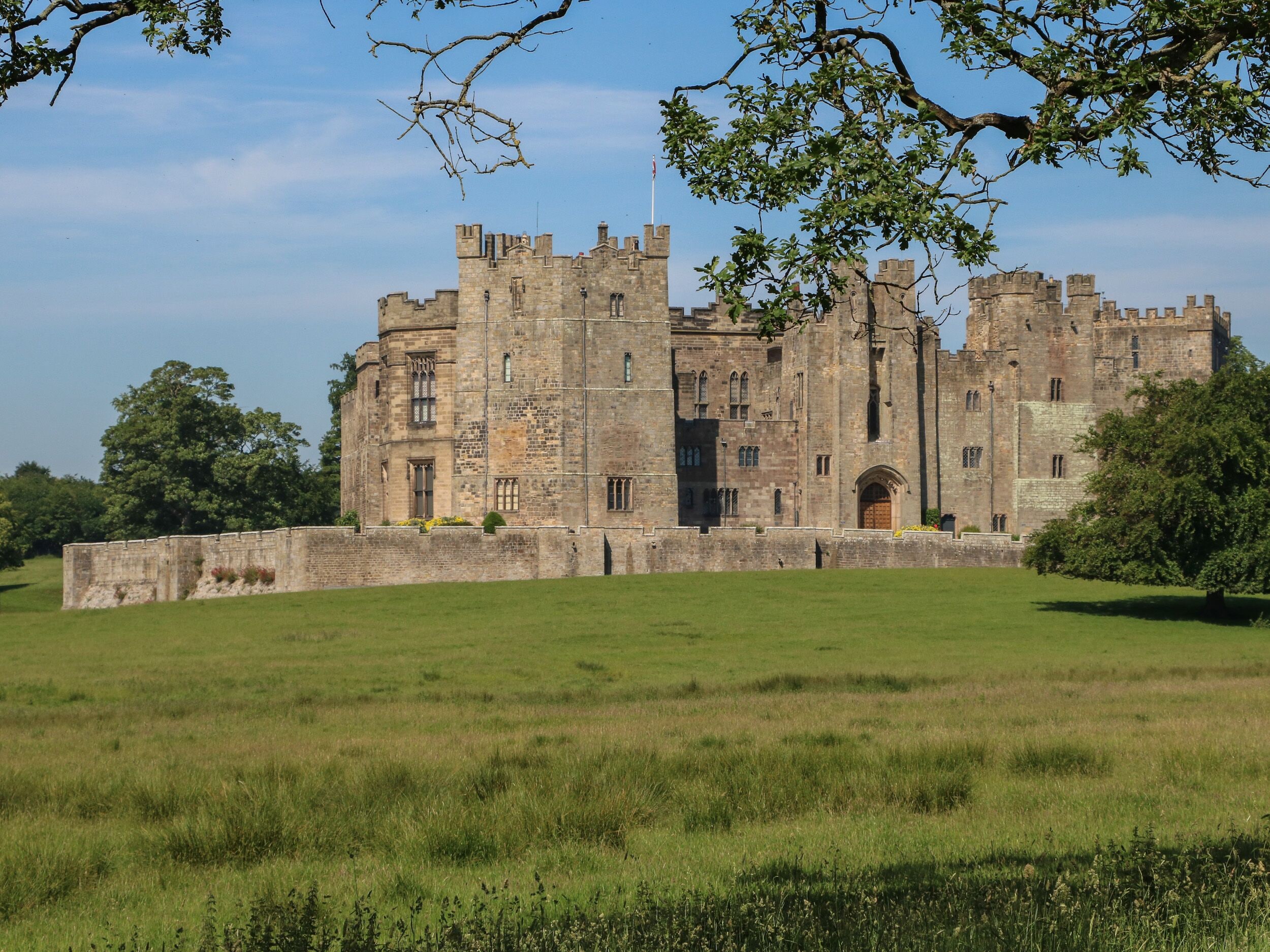 A large castle with multiple towers and a central entrance, surrounded by a grassy field and trees.