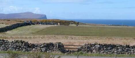 A rural landscape with a stone wall, a grassy field, and a distant view of the sea.