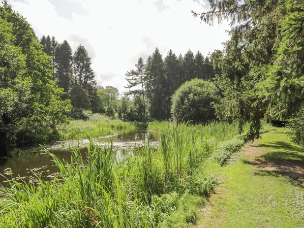 Ferienhaus | Unterkunftsgelände