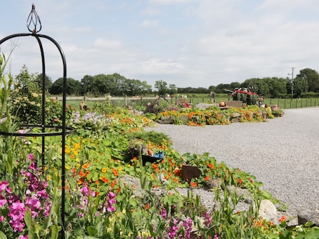 Casa de campo | Interior