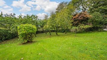 A lush garden with a variety of trees and a well-maintained lawn.