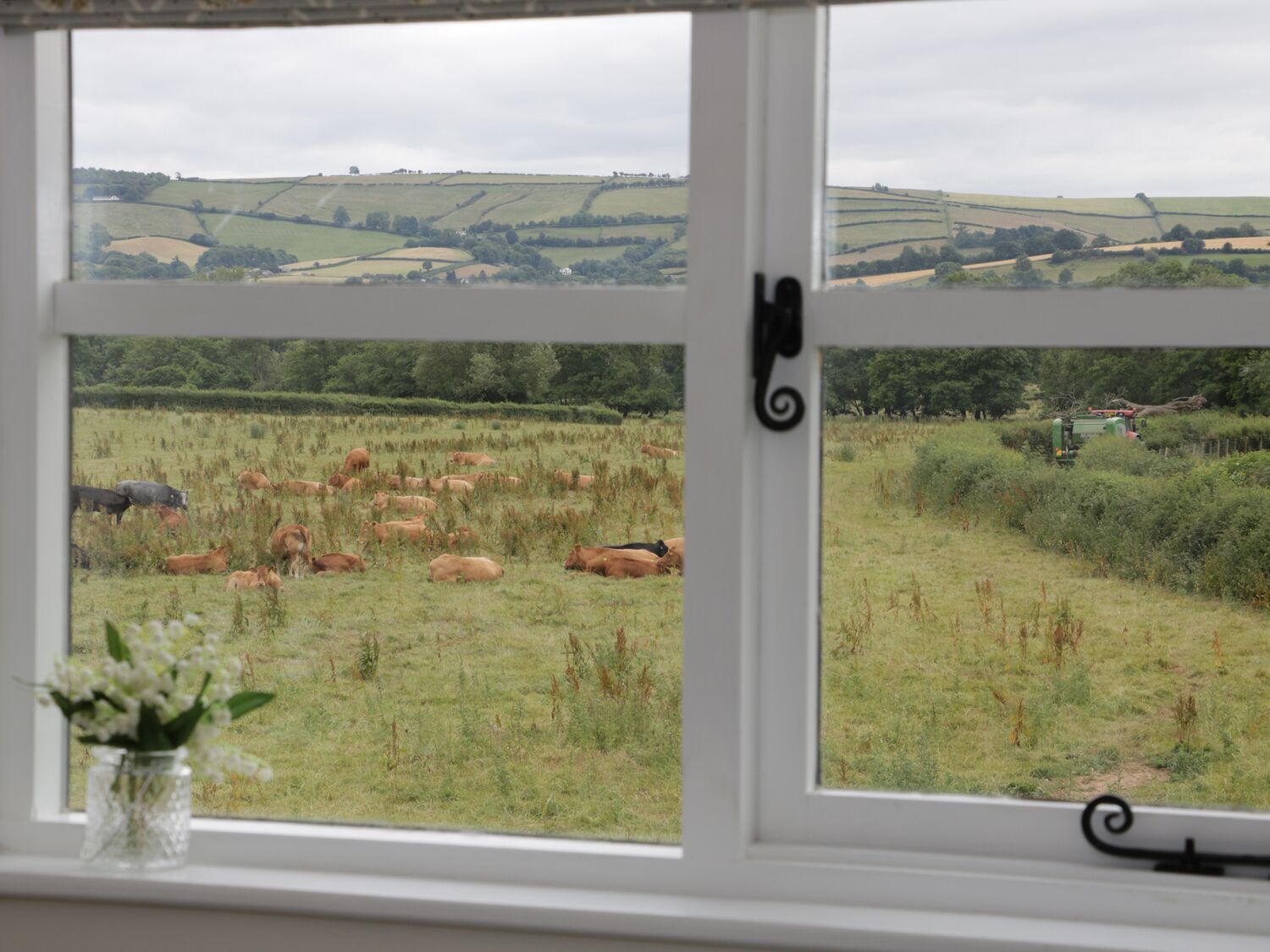 Une vue par la fenêtre sur un paysage rural, avec des champs et des collines ondulantes.