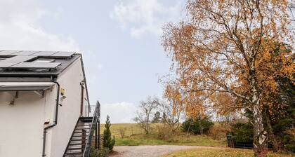 Tyn-y-mynydd Bach